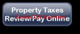 Payment Link
